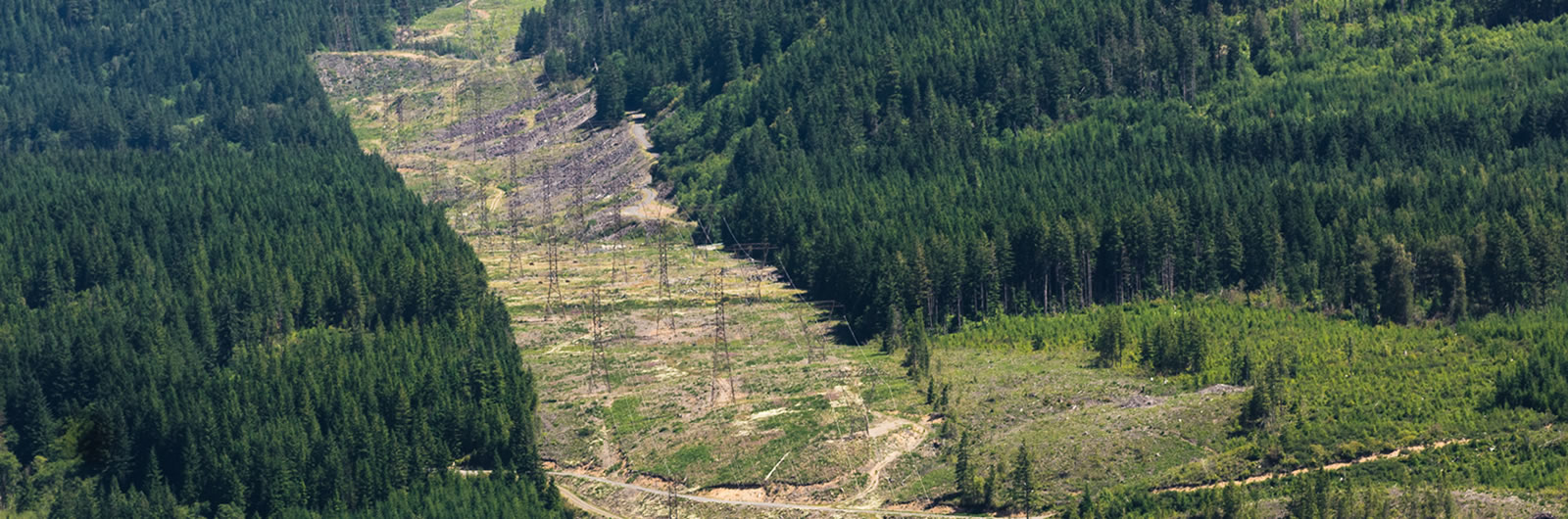 Utility lines on mountainside